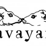 navayana logo